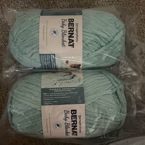 Bernat Baby Blanket Yarn - Mint Green Plush Chenille